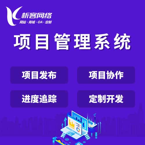 法国项目管理系统
