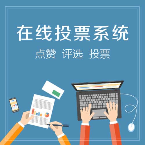 法国在线投票系统