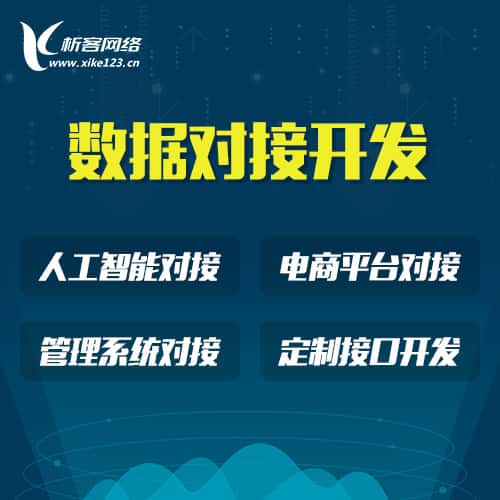 法国智能数据对接