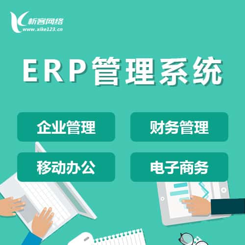 法国ERP云管理