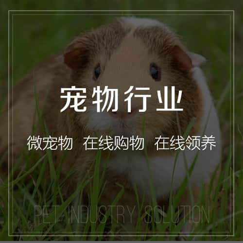 法国宠物