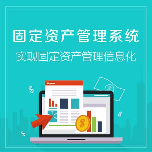 法国固定资产管理系统