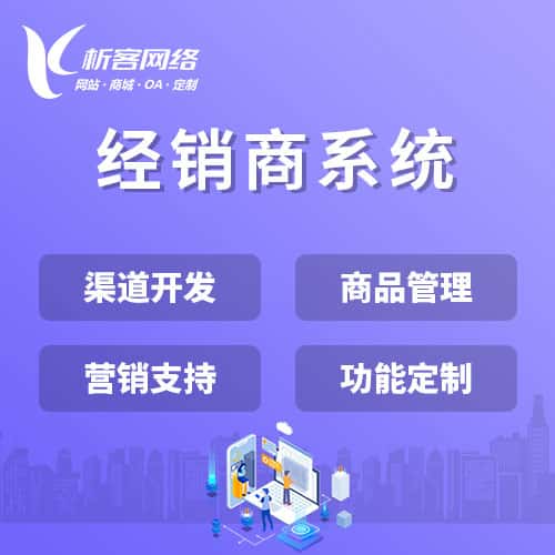 法国经销商系统