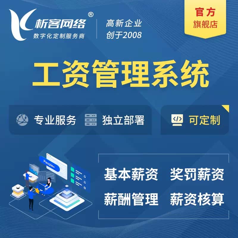 法国工资薪酬管理系统