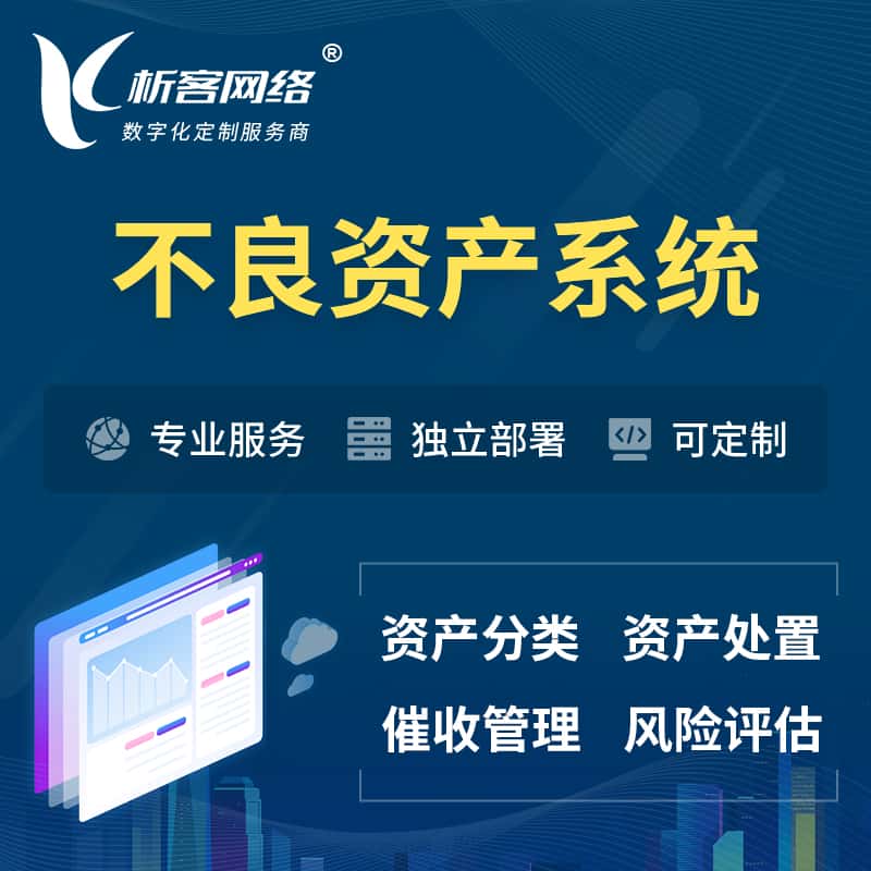 法国不良资产管理系统