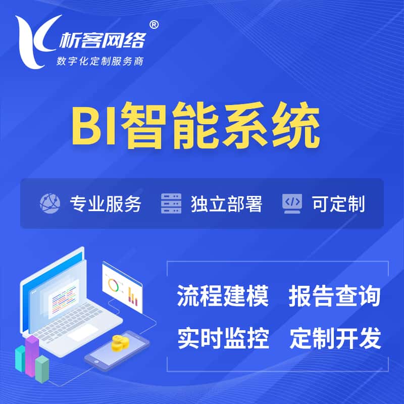 法国BI智能系统 | BI数据可视化