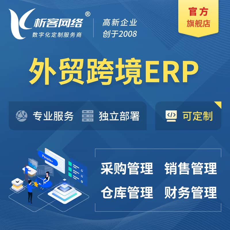 法国外贸跨境ERP软件生产海外仓ERP管理系统